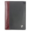 Set Pierre Cardin RS-54
