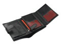 Set Pierre Cardin RS-73