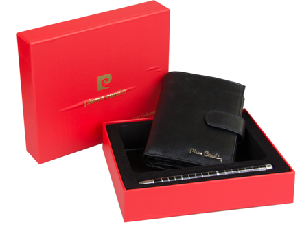 Set Pierre Cardin Pen