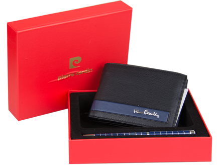 Set Pierre Cardin Pen