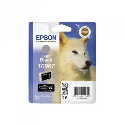 Epson originál ink C13T09674010, light black, 13ml, Epson Stylus Photo R2880, light black