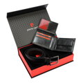 Set Pierre Cardin ZG-106
