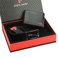 Set Pierre Cardin ZG-107
