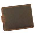 Wild L895-001
