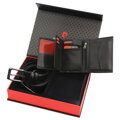 Set Pierre Cardin ZG-109