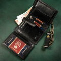 Peterson PTN 303Ł 2-1-1