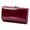 Pierre Cardin 07 SHINY 108