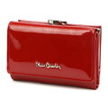 Pierre Cardin 07 SHINY 117