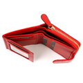 Mato Grosso 0820-46 RFID