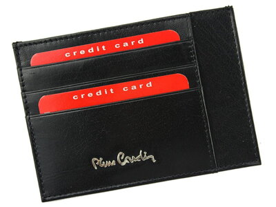 Puzdro na kreditné karty Pierre Cardin YS520.10 P020