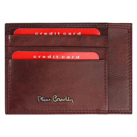 Puzdro na doklady Pierre Cardin EKO06 P020