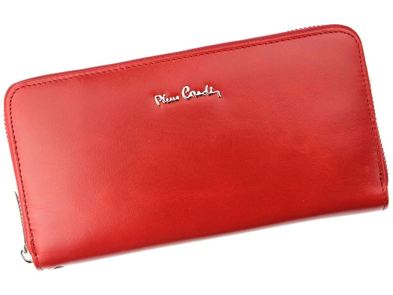 Pierre Cardin 01 LINE 118