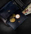 Kožená pánska peňaženka štvorcového tvaru so zipsom v retro štýle, RFID - Always Wild