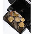 Elegantné pánske puzdro na karty s RFID ochranou - Rovicky