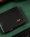 Elegantná, kožená pánska peňaženka s RFID systémom - Peterson