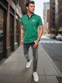 Pánske pruhované polo tričko zelené Dstreet PX0614