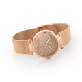 DÁMSKE HODINKY TOMMY HILFIGER 1781868 LYNN (zf507f)