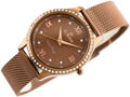Hodinky G. ROSSI - 6748B-2B3 (zg788e) brown 
