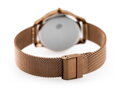 Hodinky G. ROSSI - 6748B-2B3 (zg788e) brown 
