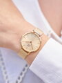 DÁMSKE HODINKY DANIEL WELLINGTON DW00100473 - PETITE UNITONE 28mm (zw506d)