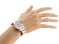 Hodinky DANIEL KLEIN 12186-4 (zl506c) 