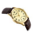 Pánske hodinky CASIO MTP-V001GL-9BUDF (zd080e)
