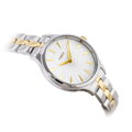 TIMEX Peyton DÁMSKE HODINKY TW2V06500 + KRABIČKA