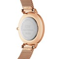 Dámske hodinky DANIEL WELLINGTON DW00100305 - PETITE MELROSE 36mm (zw509b)