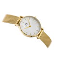 DÁMSKE HODINKY DANIEL WELLINGTON DW00100348 - Petite Evergold 32mm