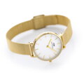 DÁMSKE HODINKY DANIEL WELLINGTON DW00100348 - Petite Evergold 32mm