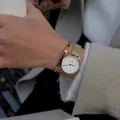 DÁMSKE HODINKY DANIEL WELLINGTON DW00100348 - Petite Evergold 32mm
