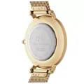 DÁMSKE HODINKY DANIEL WELLINGTON DW00100348 - Petite Evergold 32mm