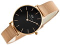 Dámske hodinky  DANIEL WELLINGTON DW00100161 - PETITE MELROSE (zx704a)