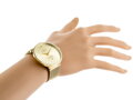 Hodinky G. ROSSI - 13109B-4D1 - magnetické zapínanie (zg850c) 