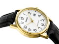 Pánske hodinky CASIO MTP-V002GL-7B2UDF (zd106a)