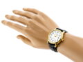 Pánske hodinky CASIO MTP-V002GL-7B2UDF (zd106a)