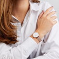 Dámske hodinky  DANIEL WELLINGTON DW00100163 - PETITE MELROSE (zx704b)