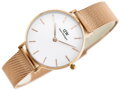 Dámske hodinky  DANIEL WELLINGTON DW00100163 - PETITE MELROSE (zx704b)