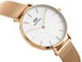 Dámske hodinky  DANIEL WELLINGTON DW00100163 - PETITE MELROSE (zx704b)