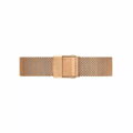 Dámske hodinky  DANIEL WELLINGTON DW00100163 - PETITE MELROSE (zx704b)