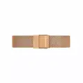 Dámske hodinky  DANIEL WELLINGTON DW00100163 - PETITE MELROSE (zx704b)