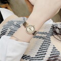 MICHAEL KORS MK3295 DÁMSKE HODINKY - DARCI (zm589a) + KRABIČKA