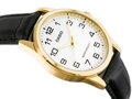 Pánske hodinky CASIO MTP-V001GL 7B (zd080a)