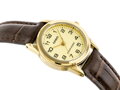 Dámske hodinky  CASIO LTP-V001GL-9BUDF (zd588b)