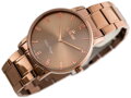 Hodinky G. ROSSI - 10194B-2B3 (zg257f) brown