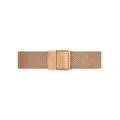 DÁMSKE HODINKY DANIEL WELLINGTON DW00100217 - PETITE MELROSE (zx705b)