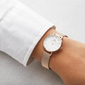 Dámske hodinky  DANIEL WELLINGTON DW00100219 - PETITE MELROSE (zx705a)