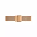 Dámske hodinky  DANIEL WELLINGTON DW00100219 - PETITE MELROSE (zx705a)