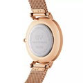 Dámske hodinky  DANIEL WELLINGTON DW00100219 - PETITE MELROSE (zx705a)