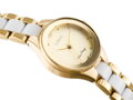 Hodinky G. ROSSI - 11041B (zg740c) 